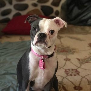 Meet your Posher, Anne